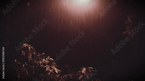rain at night with the light of street lights