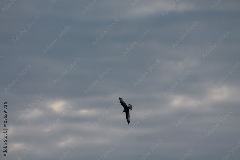 2024.02.11 Kristiansund og frei 