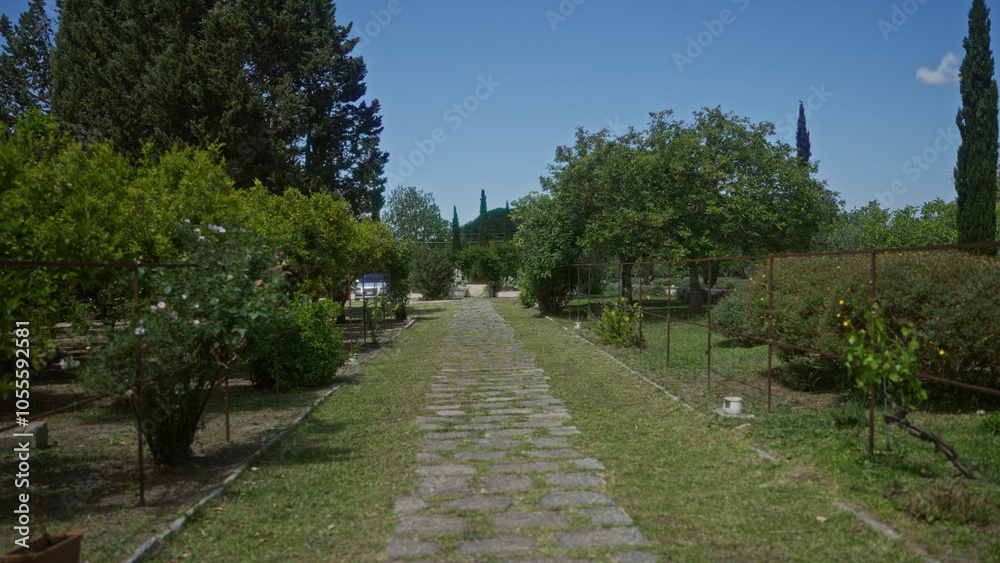 An idyllic outdoor garden path in puglia, italy, with stone walkway, lush greenery, and trees under a clear blue sky. An idyllic outdoor garden path in puglia, italy, with stone walkway, lush greenery, and trees under a clear blue sky.