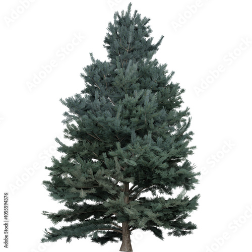 Realistic Coniferous Tree Illustration – Evergreen Pine for Nature and Landscape Design