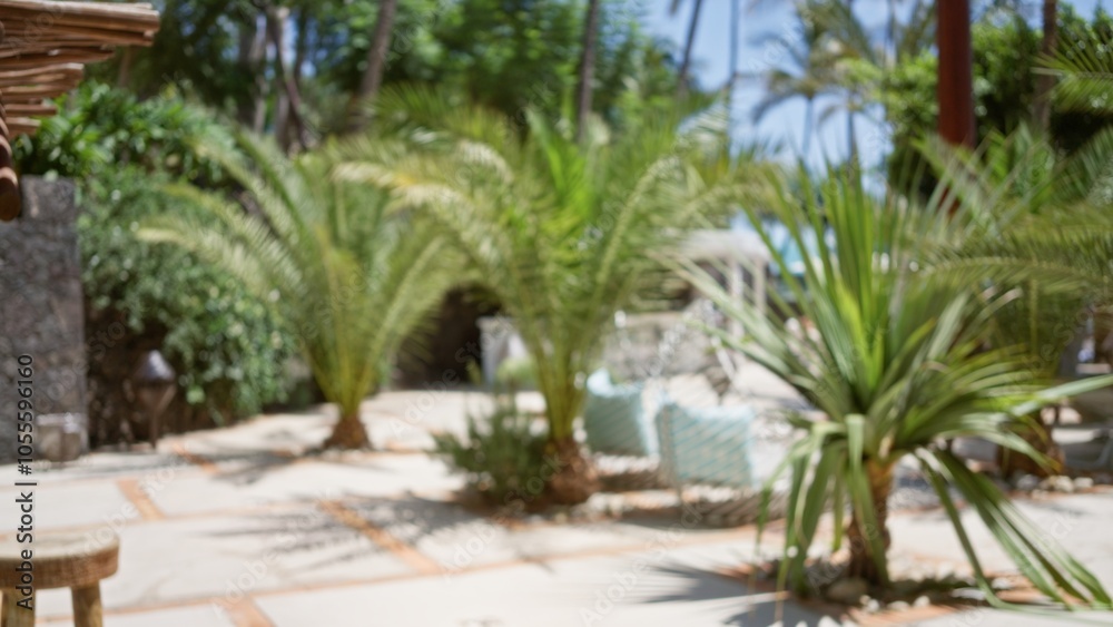 Blurred tropical resort background featuring green palm trees, lush vegetation, and defocused lounge chairs under the sun Blurred tropical resort background featuring green palm trees, lush vegetation, and defocused lounge chairs under the sun