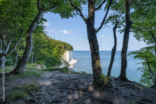 Chalk cliff along the Baltic coast, Jasmund National Park, Rügen Island, Mecklenburg-Vorpommern, Germany photo