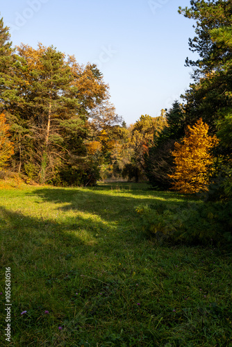 A photo of a field of grass