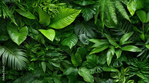 A variety of tropical leaves in distinct shapes and shades of green, presents an artistic exploration of natural beauty, diversity, and tranquility found in nature.