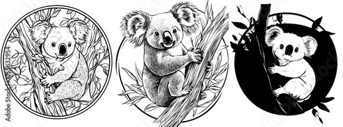 Koala on tree, black sketch, isolated on white