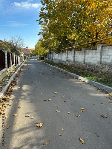 autumn in the park, hello autumn street