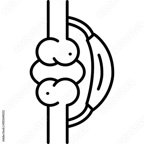Ligament Icon