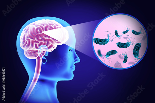 Photography Visual concept of deadly brain-eating amoeba infection