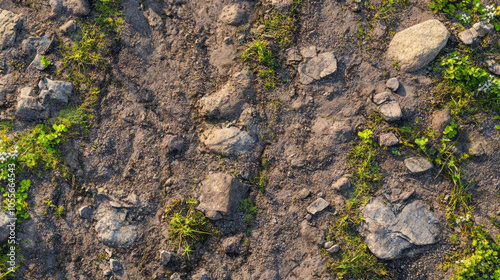 path background