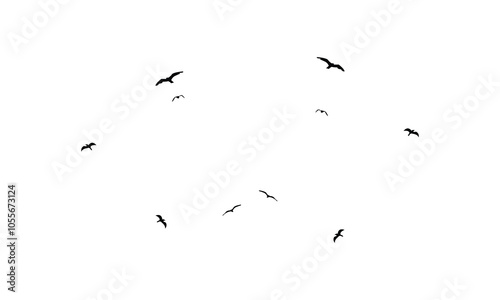 Black Flying birds silhouette And Illustration. 