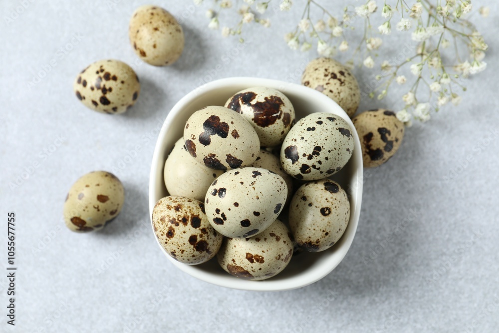 Quail eggs in a plate on gray background Quail eggs in a plate on gray background