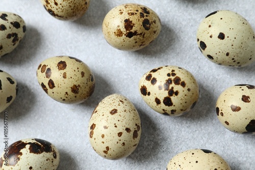 Quail eggs on gray background