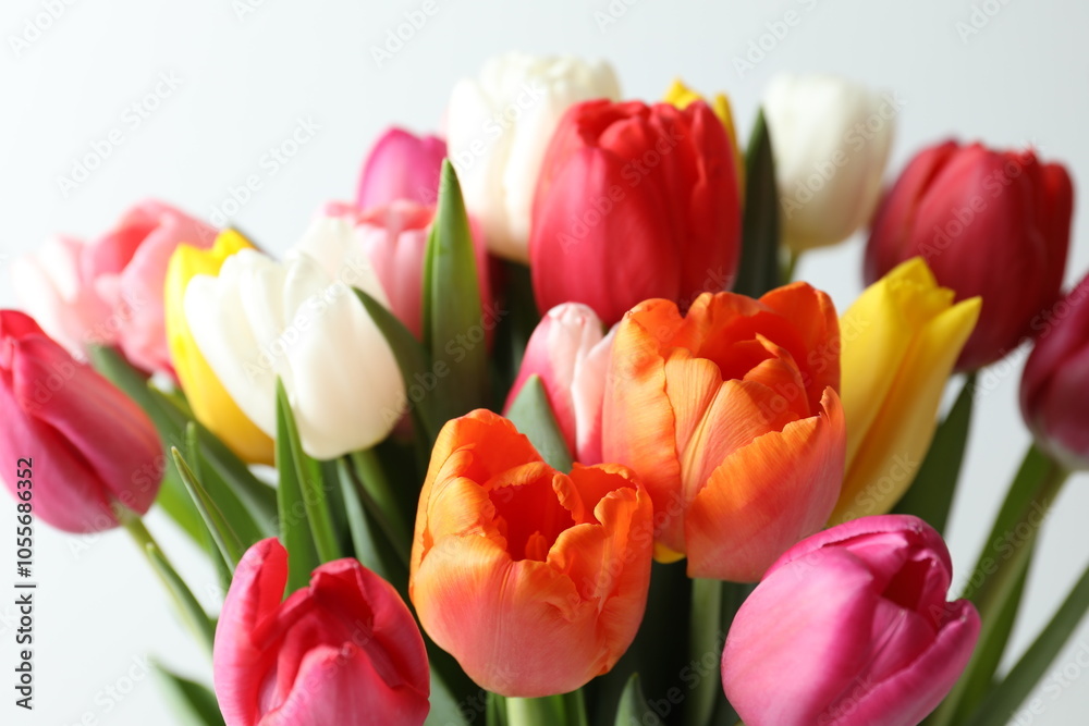 Beautiful tulips on white background Beautiful tulips on white background