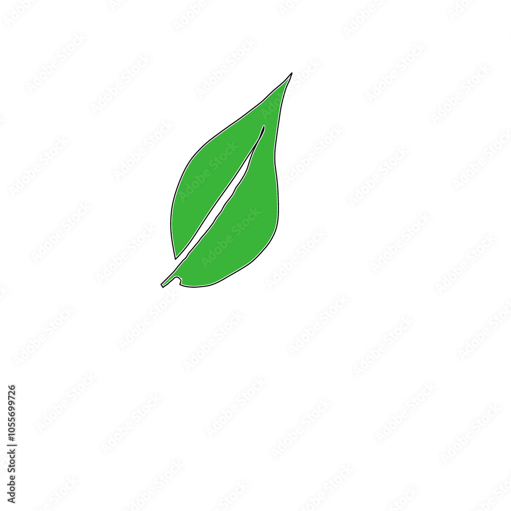 fresh green leaf fresh green leaf