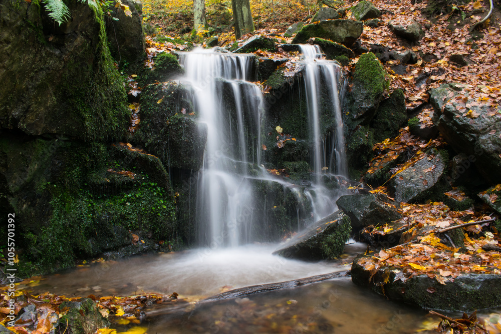 A forest stream with a waterfall in autumn, surrounded by vibrant colorful leaves. A forest stream with a waterfall in autumn, surrounded by vibrant colorful leaves.