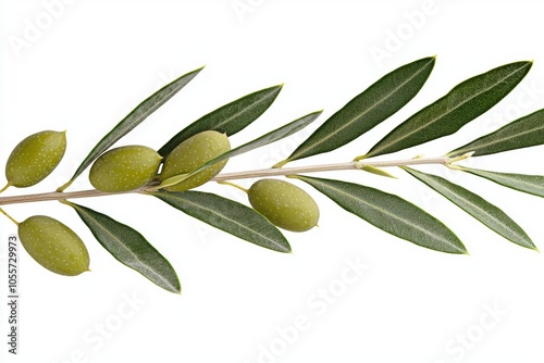 Fresh Green Olives with Vibrant Leaves Isolated Background