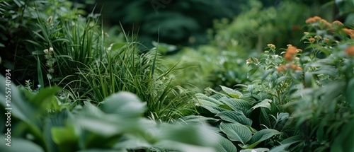 Verdant foliage whispers beneath a tranquil canopy, interspersed with blossoms, epitomizing nature's quiet elegance.