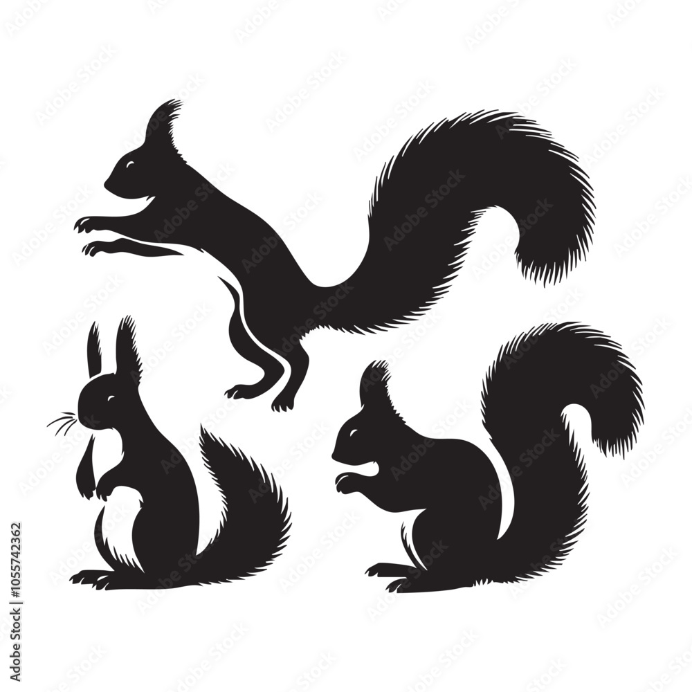 Set of squirrel silhouette on white background Set of squirrel silhouette on white background
