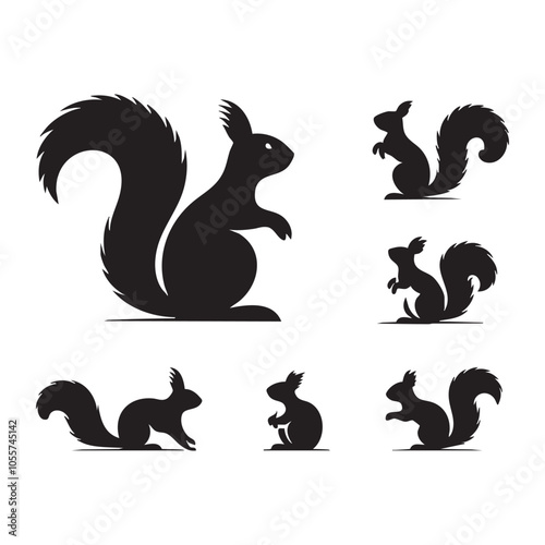 Set of squirrel silhouette on white background