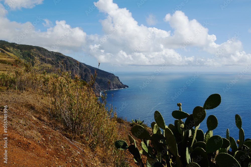 cliffs of the Ponta do Pargo Lighthouse Viewpoint; viewpoint is located at Ponta da Vigia, the westernmost cape of the island (Madeira, Portugal)