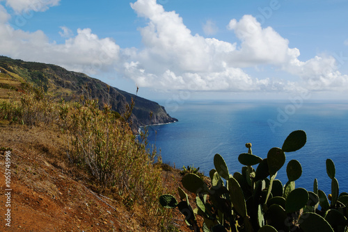 Obraz na płótnie cliffs of the Ponta do Pargo Lighthouse Viewpoint; viewpoint is located at Ponta da Vigia, the westernmost cape of the island (Madeira, Portugal) w salonie