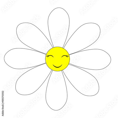 daisy flower isolated on white background