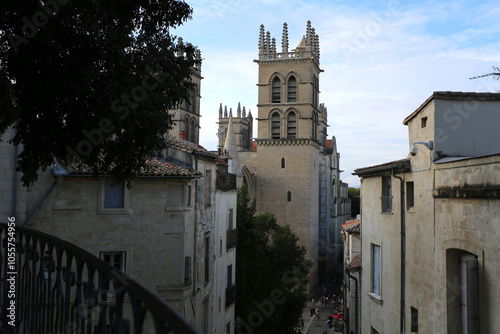 Cathédrale-forteresse Gothique  Saint-pierre de Montpellier en France photo