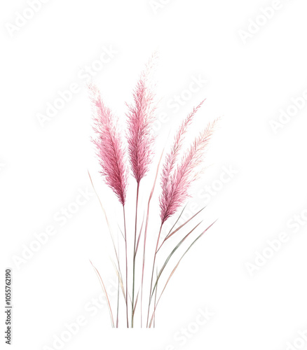 Golden wheat ears, isolated on white, symbolize the heart of agriculture and nature's bounty