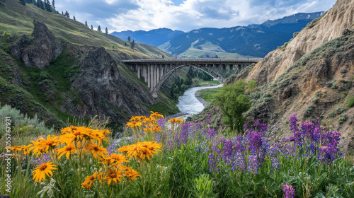 A picturesque scene of a bridge spanning a deep canyon surrounded by towering mountains, with a river flowing beneath and vibrant wildflowers lining the path photo