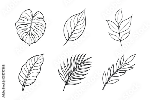 Elegant Leaves Line Art Bundle – Eucalyptus, Olive, Palm, Banana, Monstera, and Willow Leaf photo