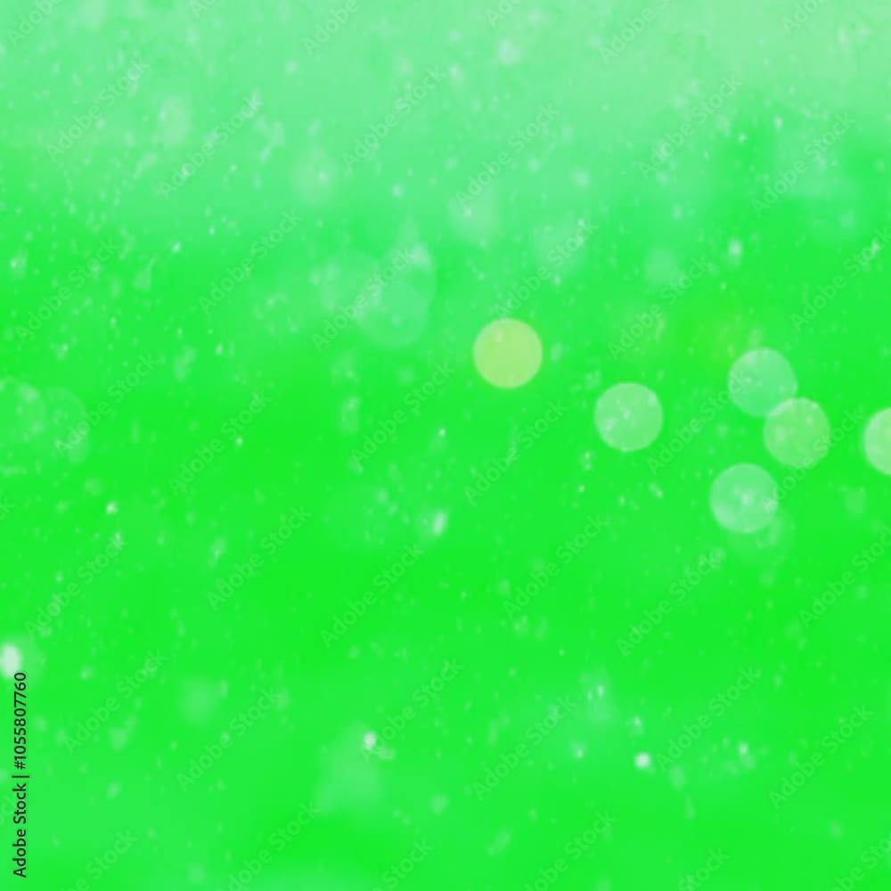 Snow white with green screen background Snow white with green screen background
