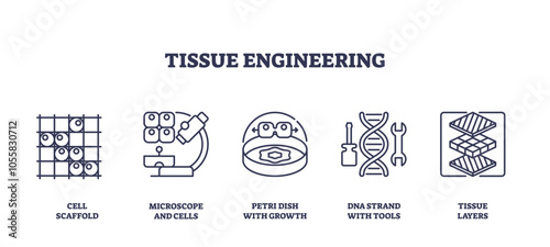 Tissue engineering involves cell scaffolds, microscopes, and DNA strands to innovate medical solutions. Outline icons set.