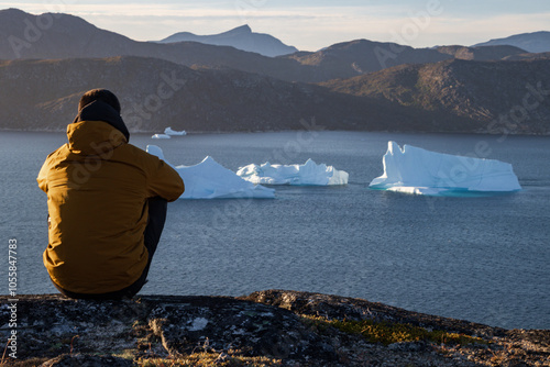 View of montains and icebergs from Uunartoq island (South Greenland) photo