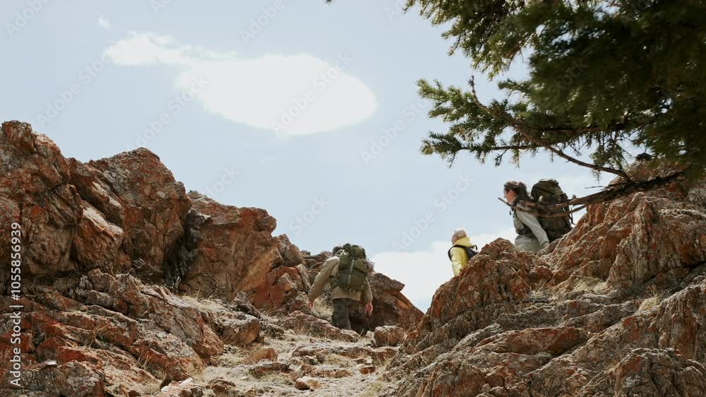 Back view at group of four hikers with backpack going way forward together through rocky path. Active tourist recreation, walk along trekking trail to mountains Back view at group of four hikers with backpack going way forward together through rocky path. Active tourist recreation, walk along trekking trail to mountains