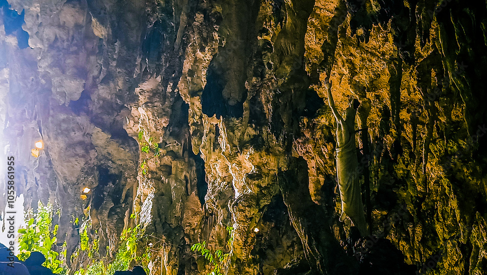A rocky cliff with green plants growing on it A rocky cliff with green plants growing on it