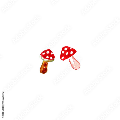 Toadstools from watercolor for Halloween. For designers, decorations, shops, and postcards. photo