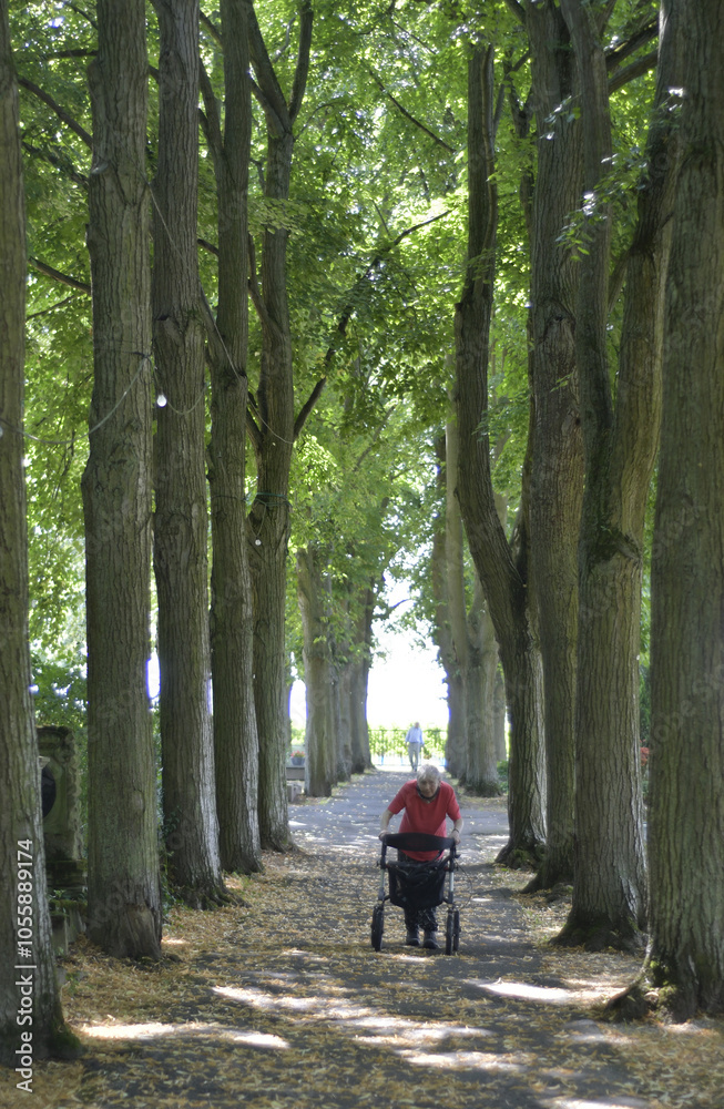 Obraz premium frau mit rollator unterwegs