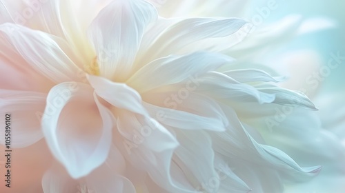 Exquisite closeup of a delicate white flower, showcasing natural beauty and elegant floral design