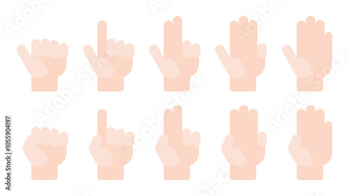 Flat vector Hand Count number hand white hand