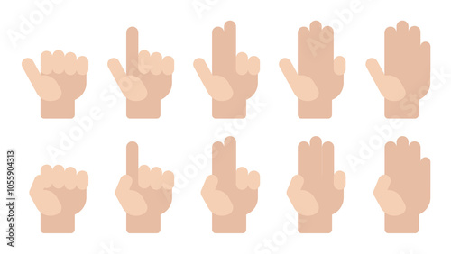 Flat vector Hand Count number hand