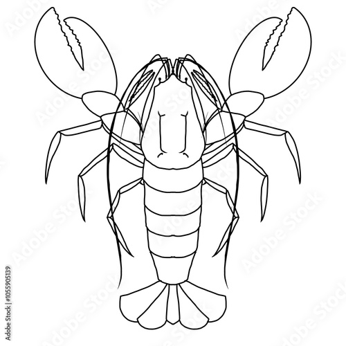 Lopster line drawing for coloring page