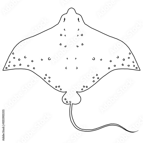 hand drawn vector illustration of a stingray