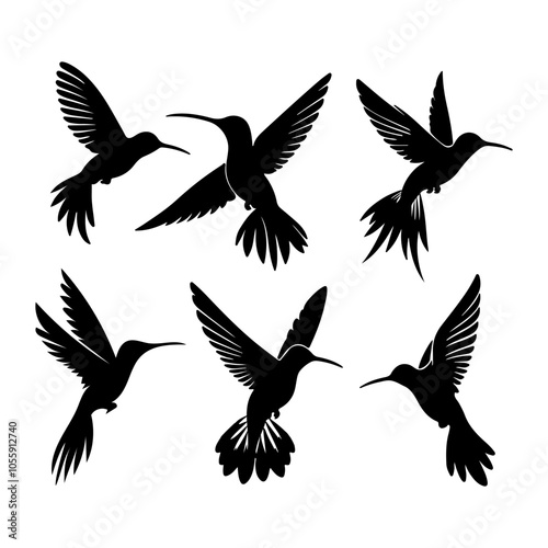 Hummingbirds Silhouette Set Vector Art illustration with a white background