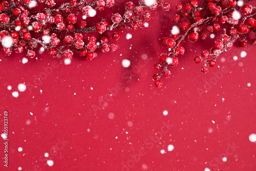 Top view of Christmas colorful background. Red berries on a branch in frost and snow on a dark red background. Winter or Christmas background. Flat lay.