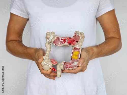Woman holding human colon anatomy model on white background photo
