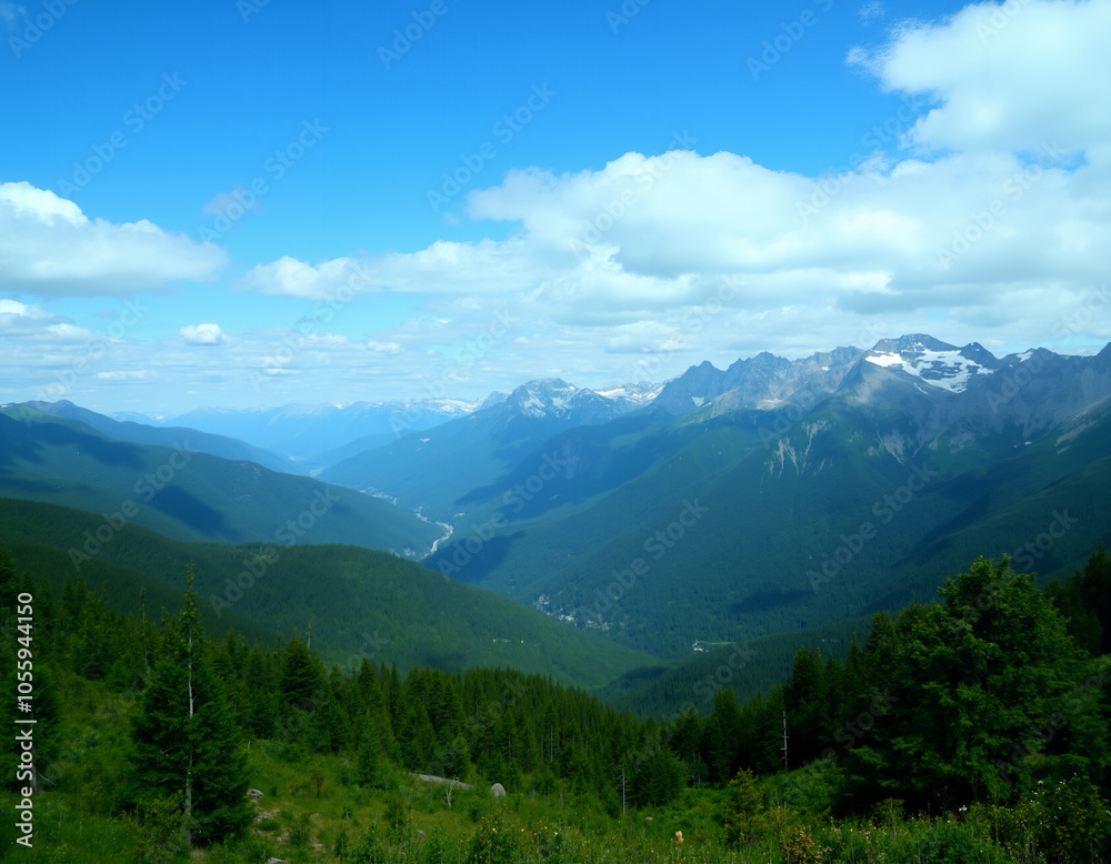 a lush green valley with rolling hills covered a lush green valley with rolling hills covered