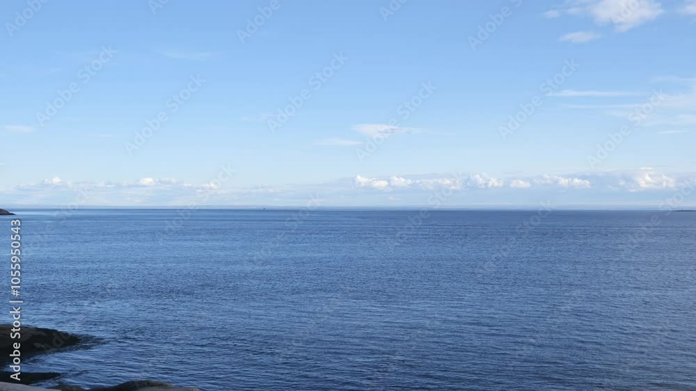 Whale's Back Gliding in the Distance Whale's Back Gliding in the Distance