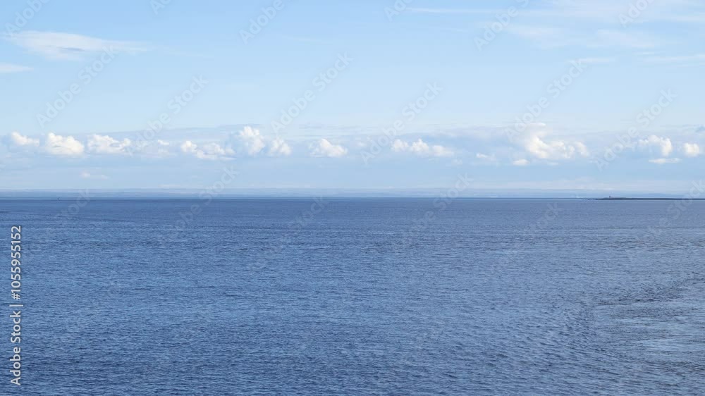 Whale's Back Gliding in the Distance Whale's Back Gliding in the Distance
