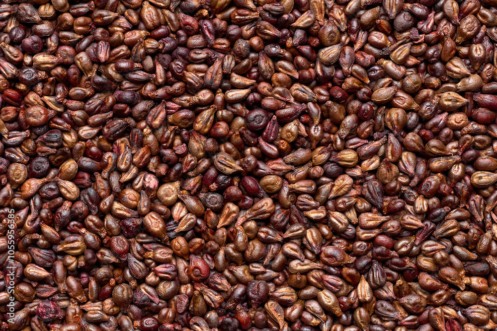 Close-up of grape seeds with varied textures and earthy tones. Red wine and white wine grape seed. Natural surface as textured background. Top view. Close-up of grape seeds with varied textures and earthy tones. Red wine and white wine grape seed. Natural surface as textured background. Top view.