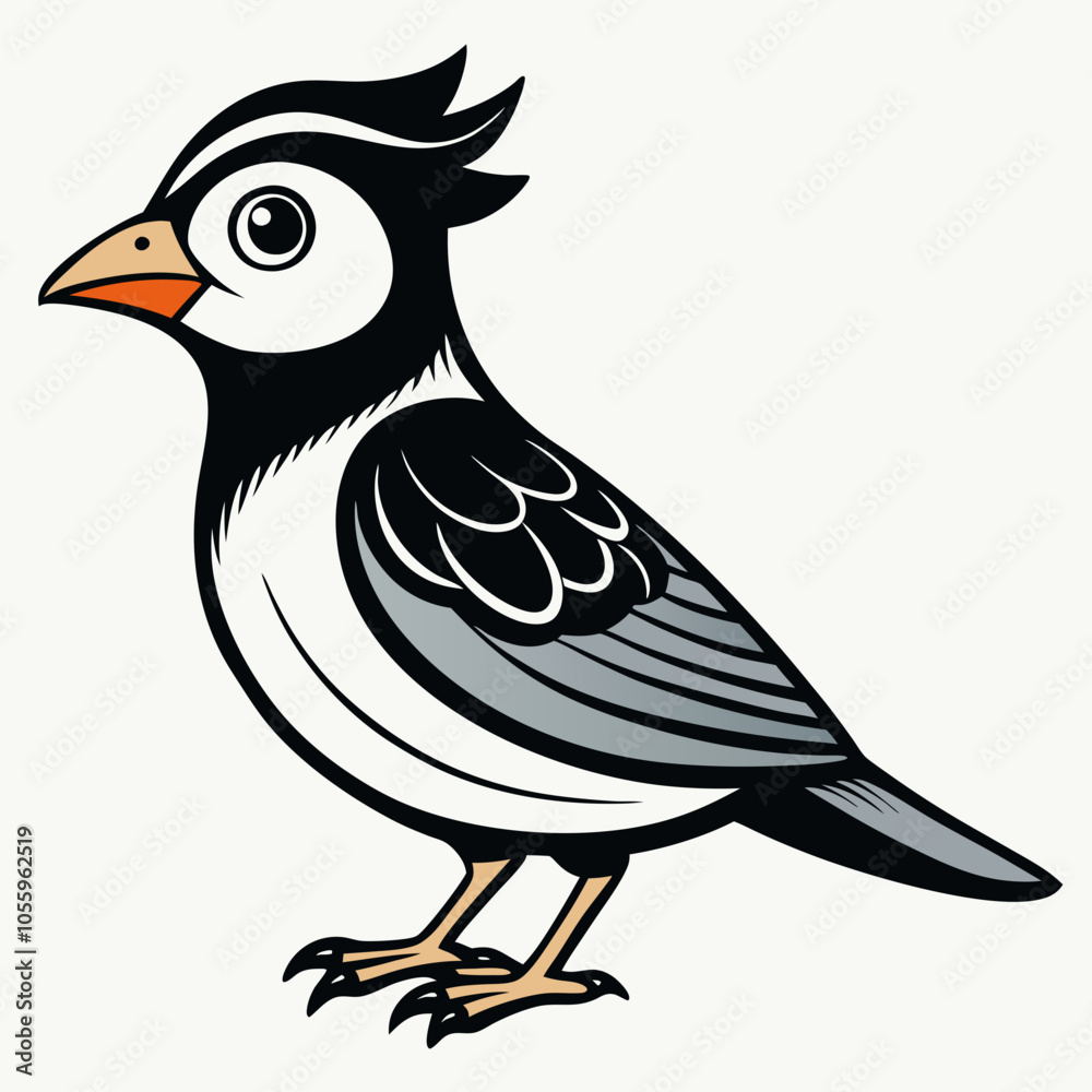 Fototapeta premium detailed vector illustration of a small bird
